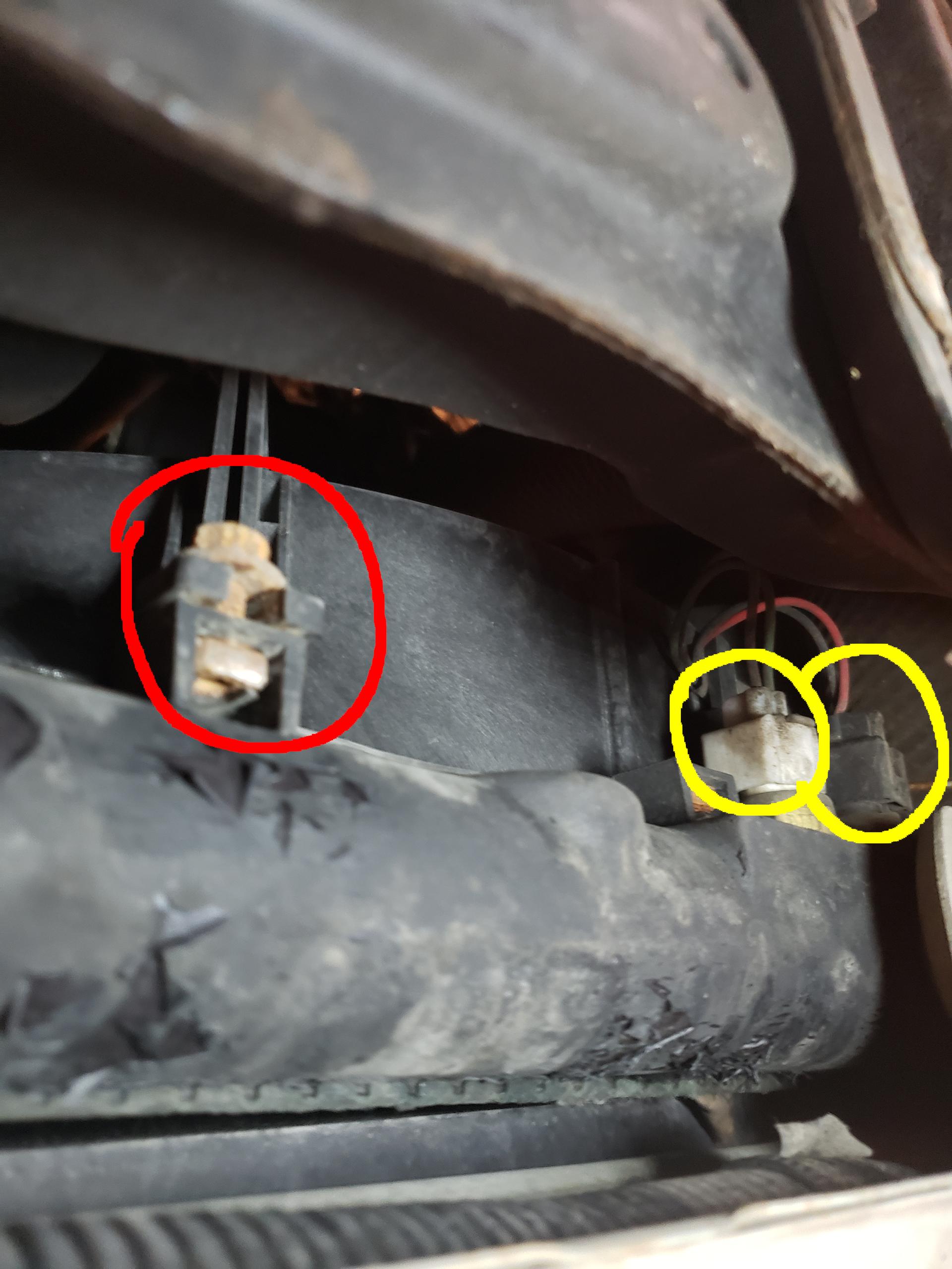 Bolt and plugs